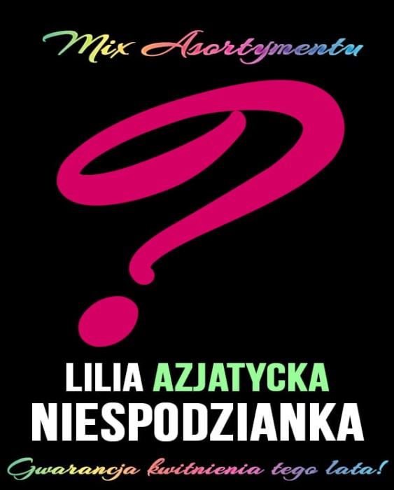 azjatycka lilia niespodzianka mix.jpg
