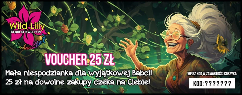 25 Dzień Babci.jpg