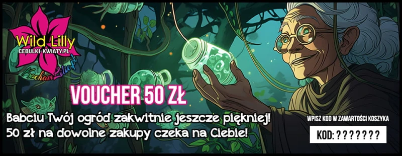 50 Dzień Babci.jpg