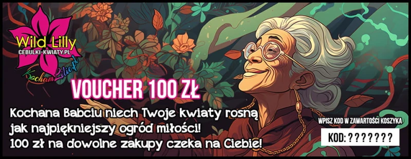 100 Dzień Babci.jpg