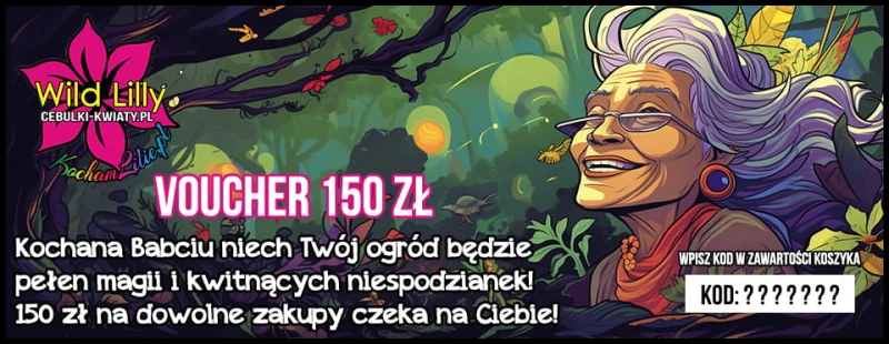 150 Dzień babci.jpg