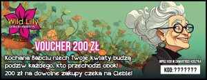 200 Dzień babci.jpg