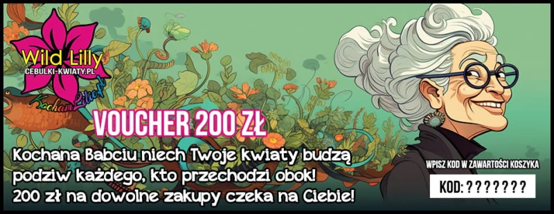 200 Dzień babci.jpg