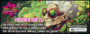 500 Dzień babci.jpg
