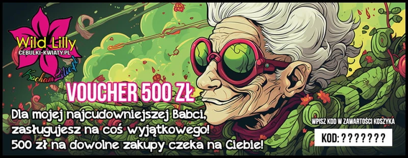500 Dzień babci.jpg