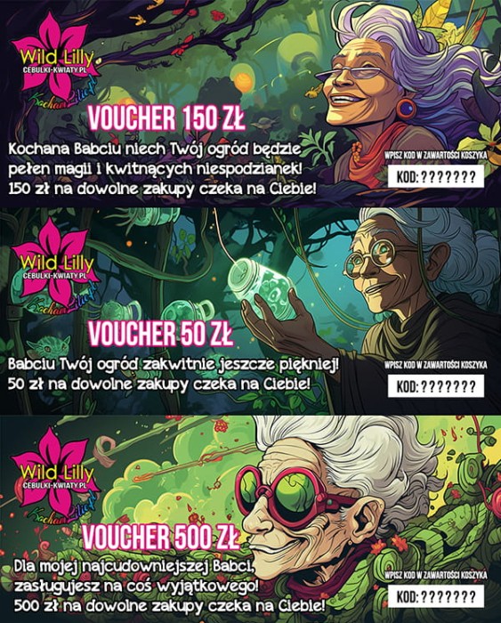 Dzień Babci Voucher kod rabatowy na zakupy prezent cebulki kwiatów 2.jpg