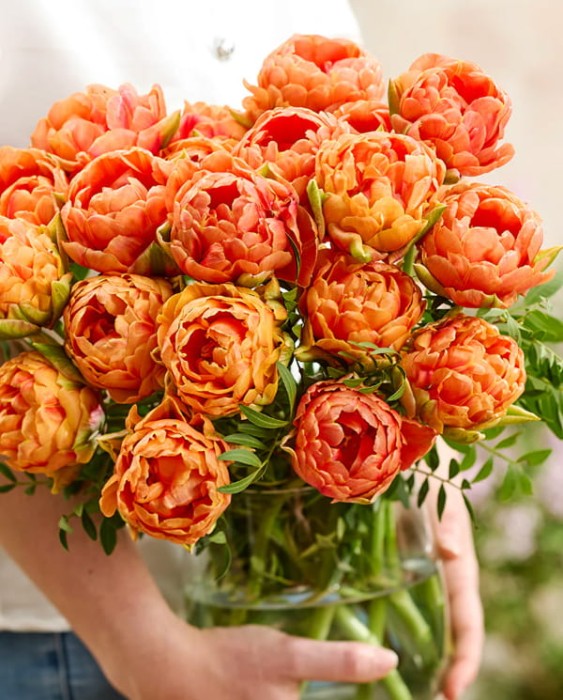 Orange Flavour 2.jpg