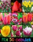 Mix cała wiosna 2024 - 50 sztuk.jpg