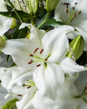 White Balloons 2.jpg