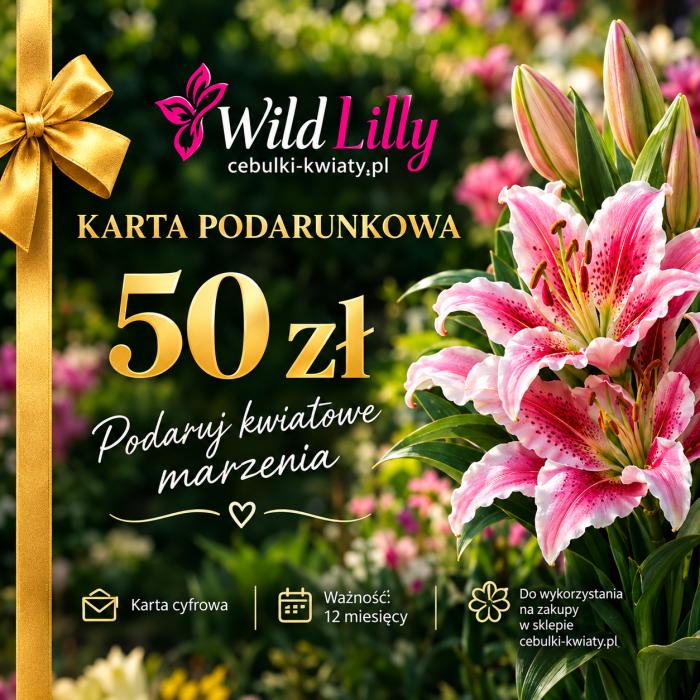Karta podarunkowa 50.png