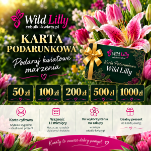 Karta podarunkowa wild lilly.png