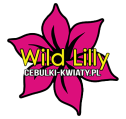 WILD LILLY Cebulki-Kwiaty.pl - strona główna
